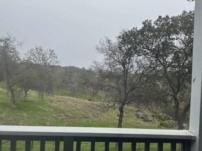 29633 Meadow Ln in Coarsegold, CA - Building Photo - Building Photo
