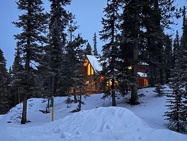 76 Snowshoe Pl in Fairplay, CO - Building Photo - Building Photo