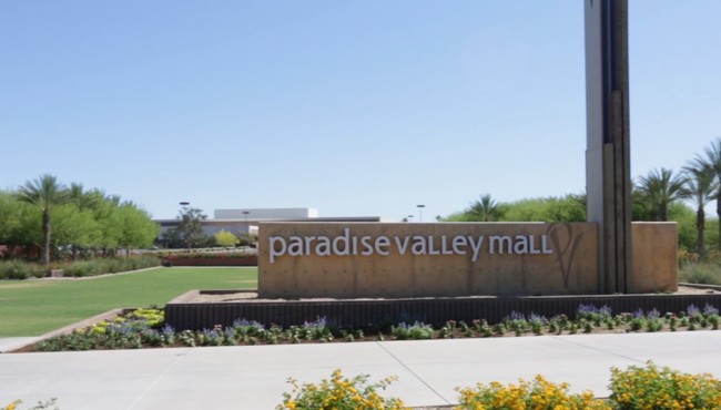 Apartments for rent in Paradise Valley North, AZ