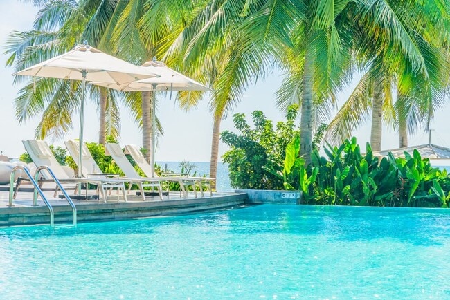 4342 N Damen Ave, Unit Z00A, Unit Z00A