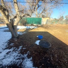 8015 W 5th Ave in Lakewood, CO - Building Photo - Building Photo