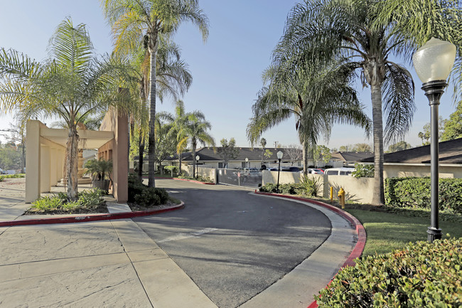 Arbor Villas in Yorba Linda, CA - Foto de edificio - Building Photo