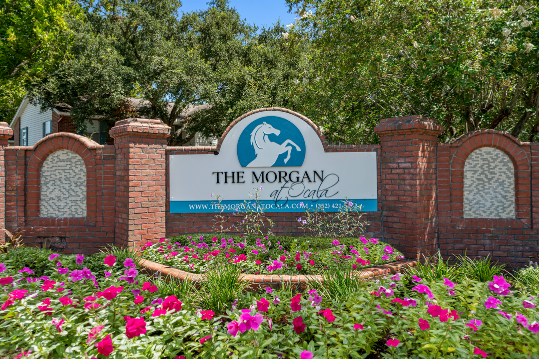 The Morgan at Ocala in Ocala, FL - Building Photo