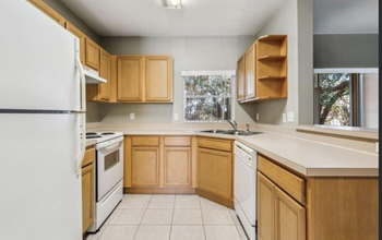 5010 Cactus Needle Ln in Wesley Chapel, FL - Building Photo - Building Photo