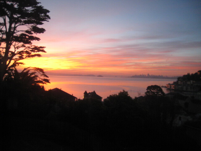 306 3rd St in Sausalito, CA - Building Photo - Building Photo