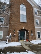 985 Mistflower Ln in Florence, KY - Building Photo