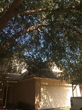 21918 Pearl Lake Dr in Katy, TX - Building Photo - Building Photo