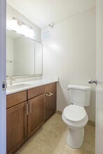 161 N Harbor Dr in Chicago, IL - Building Photo - Building Photo