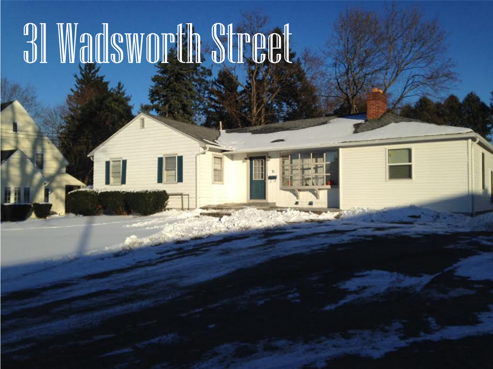 31 Wadsworth St in Geneseo, NY - Building Photo