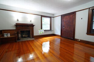 266 Chestnut Hill Ave in Boston, MA - Building Photo