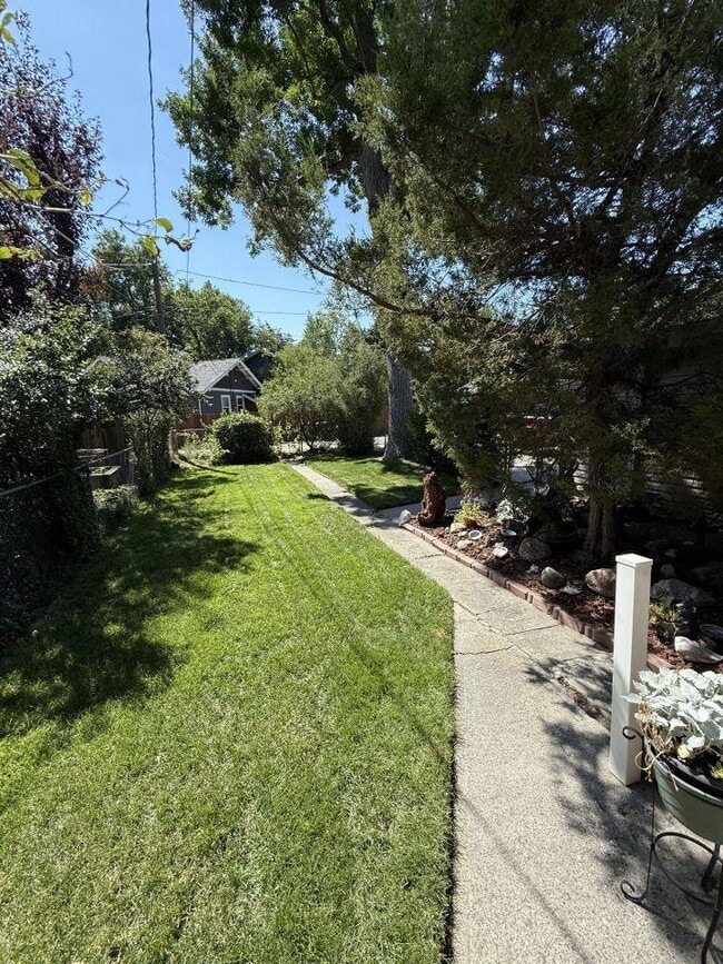 1052 N 32nd St in Billings, MT - Building Photo - Building Photo