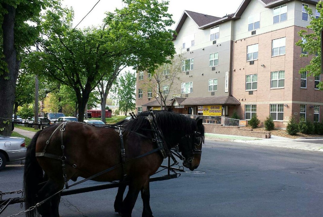 The Endurance in Minneapolis, MN - Foto de edificio