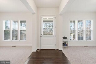 22912 Bubbling Brook Dr in Brambleton, VA - Building Photo