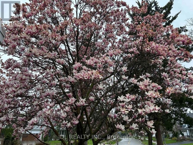 23 Pineway Blvd in Toronto, ON - Building Photo - Building Photo