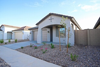 1005 W Finch Dr in Queen Creek, AZ - Building Photo - Building Photo