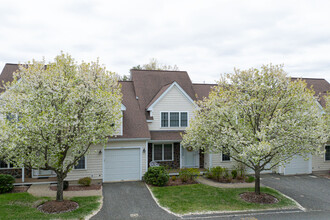 The Village at Fox Run in Billerica, MA - Building Photo - Building Photo