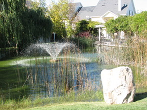 Birches At Brandt's Landing in Nampa, ID - Building Photo - Building Photo