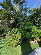 1631 Michigan Ave in Santa Monica, CA - Foto de edificio - Building Photo