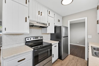 3953 Arthur St NE in Minneapolis, MN - Foto de edificio - Building Photo