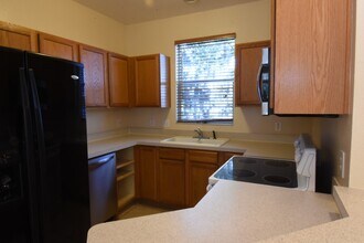 11016 Black Swan Ct in Seffner, FL - Building Photo - Building Photo