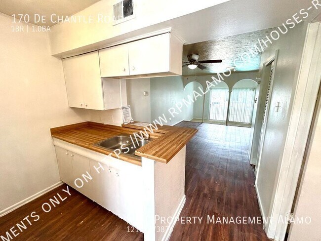 170 De Chantle Rd in San Antonio, TX - Building Photo - Building Photo