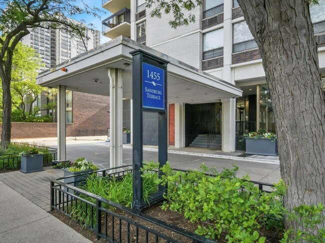 1455 N Sandburg Terrace in Chicago, IL - Building Photo - Building Photo