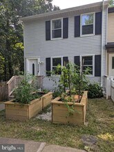 5281 Daffodil Dr in Fredericksburg, VA - Building Photo - Building Photo