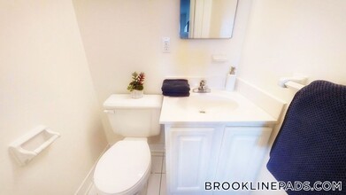 175 Freeman St in Brookline, MA - Building Photo - Building Photo