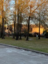 12414 Timber Hollow in Houston, TX - Building Photo - Building Photo