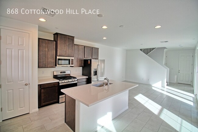 868 Cottonwood Hl Pl in Henderson, NV - Building Photo - Building Photo