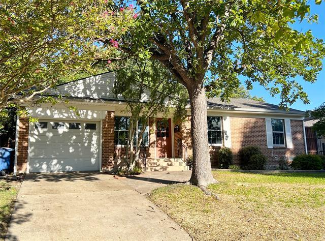 10025 Newcombe Dr in Dallas, TX - Building Photo - Building Photo