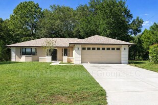 1411 Deborah Dr in Spring Hill, FL - Building Photo