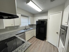 16519 Cairngorm Dr in Houston, TX - Building Photo - Building Photo