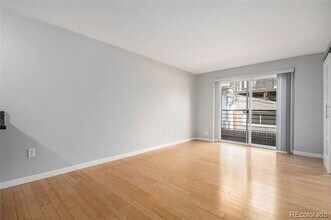 1032 N Clarkson St in Denver, CO - Building Photo - Building Photo