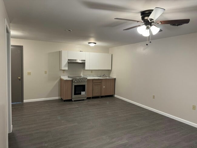 355 S Main St in Albion, NY - Building Photo - Building Photo