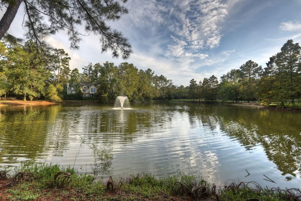 9 Lakeridge Dr in Spring, TX - Building Photo