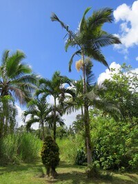 15-1414-1414 24th Ave photo'