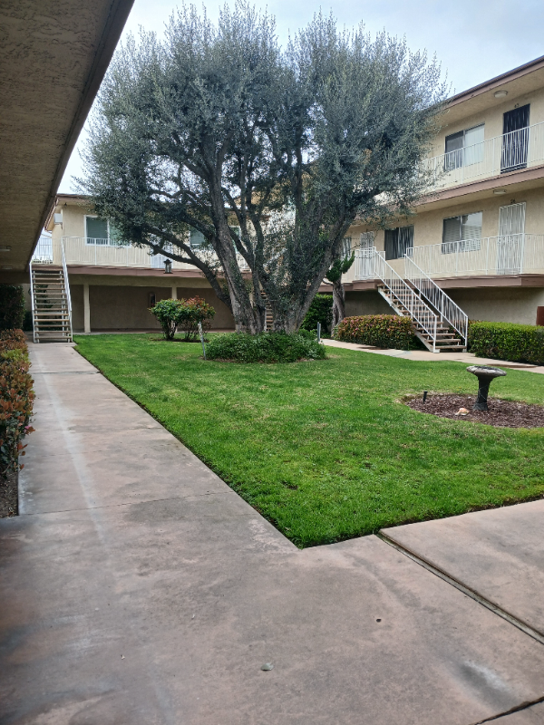 25925 Narbonne Ave in Lomita, CA - Foto de edificio - Building Photo