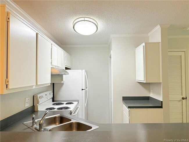 105H Stratford Dr in Williamsburg, VA - Building Photo - Building Photo