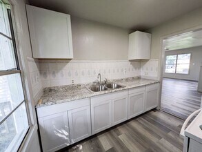 203 Camellia Ave in Orange, TX - Building Photo - Building Photo