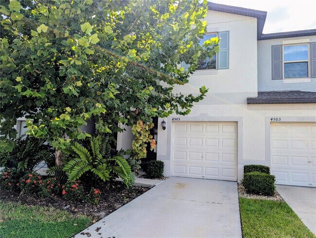 4505 Globe Thistle Dr in Tampa, FL - Building Photo - Building Photo