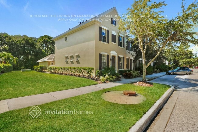 11538 Fountainhead Dr in Tampa, FL - Building Photo - Building Photo