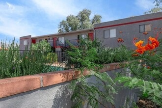 Prince Plaza Apartments in Tucson, AZ - Building Photo - Building Photo