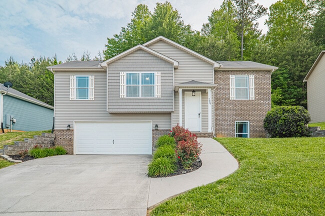 property at 7809 Elkton Ln