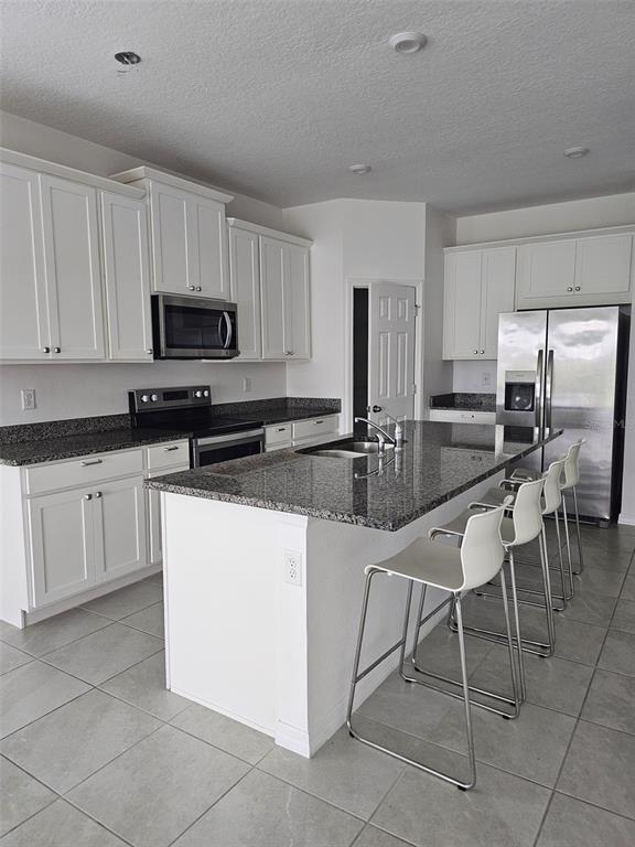2492 Blowing Breeze Ave in Kissimmee, FL - Building Photo - Building Photo