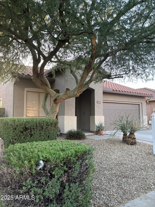 39624 N Messner Way in Anthem, AZ - Building Photo