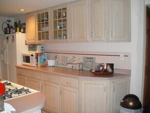 6535 N Bosworth Ave, Unit #1 in Chicago, IL - Building Photo - Building Photo