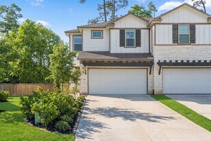 119 Sky Shine Ct in Conroe, TX - Building Photo