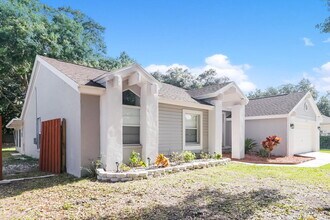 10324 Ashley Oaks Dr in Riverview, FL - Building Photo - Building Photo