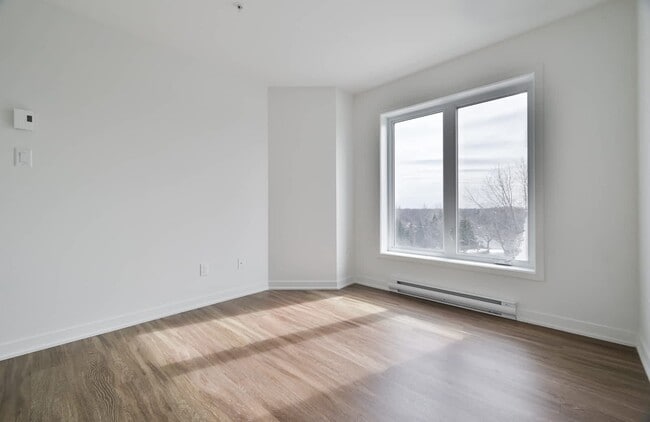 Vivacité Longueuil II